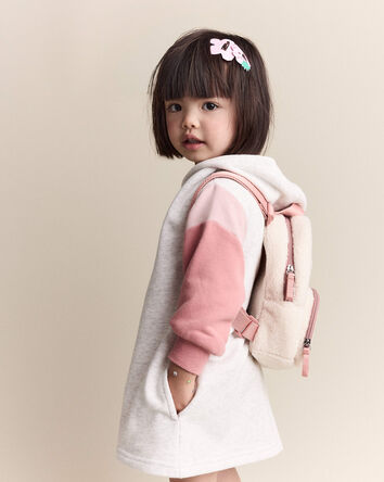 Toddler Girl Colorblock Long-Sleeve Hooded Sweatshirt Dress - Light Heather Grey, 