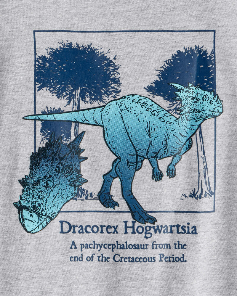 Boys Dinosaur Short-Sleeve Graphic Tee - Grey, image 2 of 3 slides