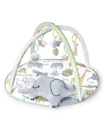 Baby Safari Play Gym, 