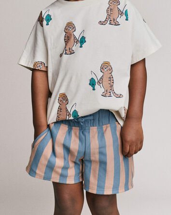 Toddler Boy Long-Line Shorts in Stripes - Slate Blue/Brown, 