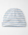Blue Stripes