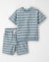 Blue Stripes