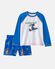 Blue/White