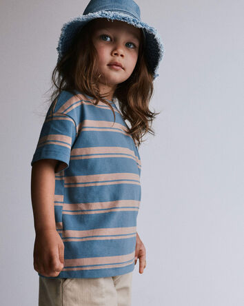 Toddler Relaxed Tee in Stripes - Slate Blue/Brown, 