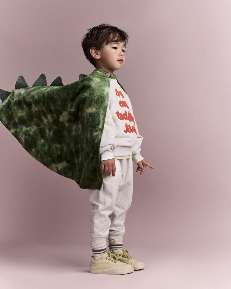 Toddler Believe In Dragons Dress Up Cape - Green, image 8 of 10 slides