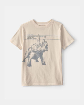 Boys Triceratops Dinosaur Graphic Tee - Cream, 