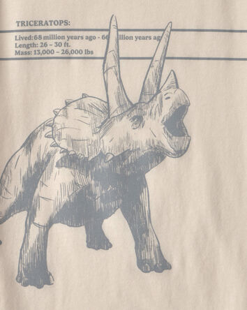 Boys Triceratops Dinosaur Graphic Tee - Cream, 