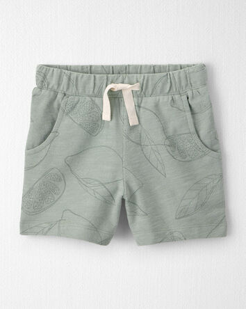 Toddler Boy 2-Piece Top & Short Set Made with Organic Cotton in Sienna Breeze, 