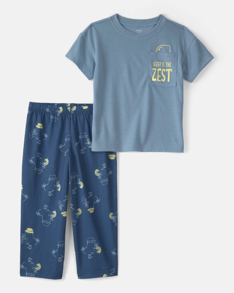 Toddler Boy Bird Loose Fit 2-Piece Pajama Set - Blue, image 1 of 3 slides