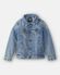 Spring Blue Indigo