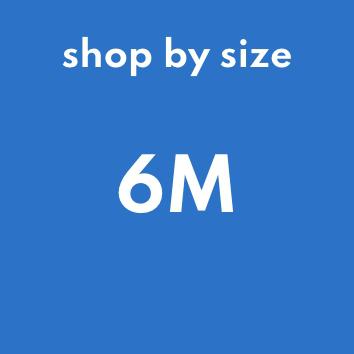6M